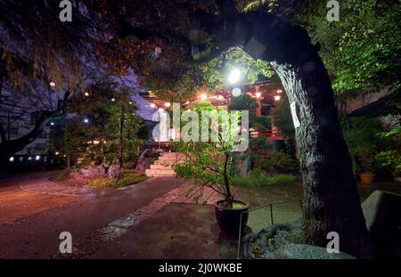 Petit sanctuaire local à Shibuya la nuit. Tokyo. Japon Banque D'Images