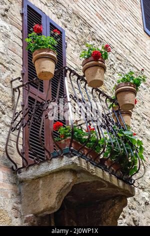 Fleurs sur un balcon à Pienza Toscane Banque D'Images