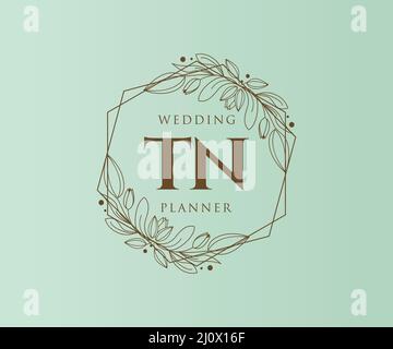 TN initiales lettre mariage monogramme collection logos, dessin à la main moderne minimaliste et modèles floraux pour cartes d'invitation, Save the Date, élégant Illustration de Vecteur