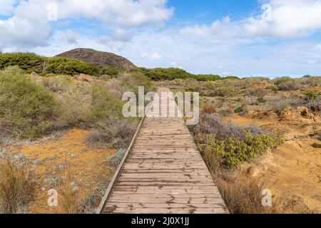 Une longue promenade en bois mène à travers un écosystème côtier fragile de dunes de sable Banque D'Images