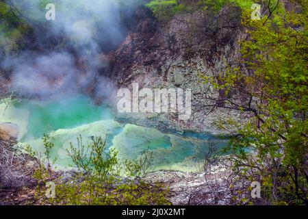 Parc geyser Banque D'Images