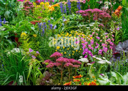 Fleurs et plantes décoratives dans le jardin. Aménagement paysager. Fond naturel naturel. Mise au point douce. Banque D'Images