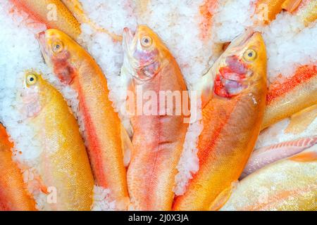 La truite rose est vendu dans le magasin. Le poisson sur la glace. Banque D'Images