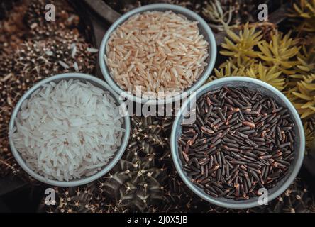 Différents types de riz : riz brun, riz au jasmin, tasse en céramique de mûrier. Collection de riz cru biologique, aliments sains Focus sélectif. Banque D'Images