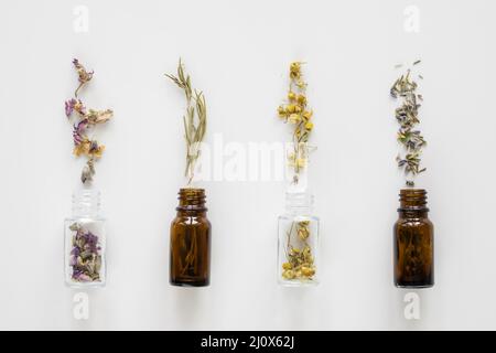 Vue de dessus des bouteilles d'herbes médicinales naturelles. Concept de photo de haute qualité Banque D'Images