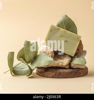 Savon à l'avant fabriqué à partir de plantes vertes. Concept de photo de haute qualité Banque D'Images