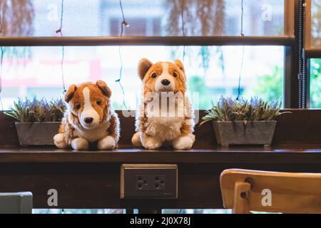 Une jolie poupée de chiens blancs et bruns s'assoit sur le comptoir près d'une grande fenêtre en verre dans le café. Belle décoration de jouets animaux dans le café. Magnifiques chiens de poupée dans br Banque D'Images