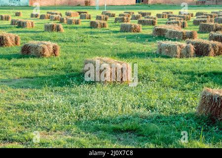 Sièges et tables faits de balles de paille pour l'événement et la fête posés sur la pelouse. Pailles de chaume décorées pour s'asseoir dans la campagne. Mobilier fait Banque D'Images