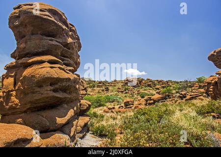 Un paysage parsemé d'étranges piliers de Quartzite altérés dans les montagnes de Magaliesberg en Afrique du Sud, le jour d'été clair et ensoleillé Banque D'Images