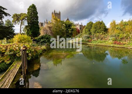 Wells Cathédrale reflétée dans l'étang dans les jardins du Palais des évêques, Wells, Somerset, Royaume-Uni Banque D'Images