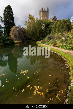 Wells Cathédrale reflétée dans l'étang dans les jardins du Palais des évêques, Wells, Somerset, Royaume-Uni Banque D'Images