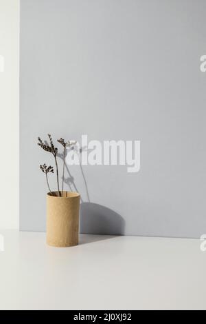 Résumé espace de copie minimal pour vase végétal. Concept de photo de haute qualité Banque D'Images