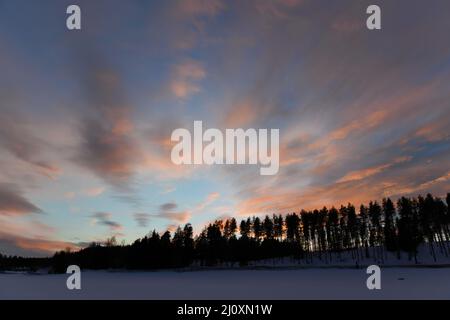 Photo aérienne de forêt enneigée au coucher du soleil à Vantaa Banque D'Images