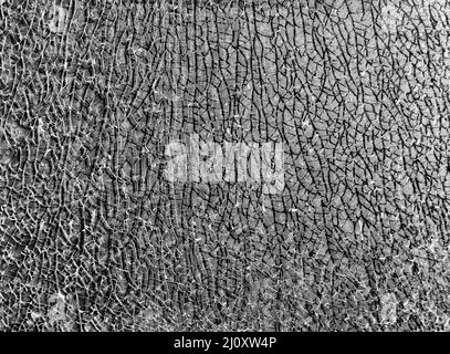 Texture verre cassé avec fissures. Résumé de l'écran fissuré smartphone de choc Banque D'Images