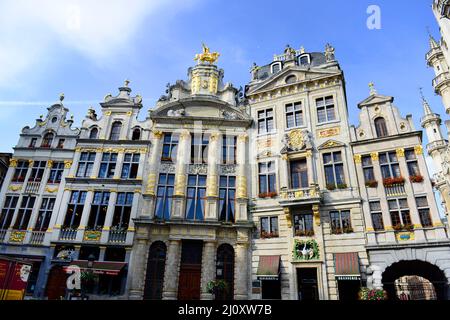 La statue équestre de Charles-Alexandre de Lorraine au sommet de la Maison de l'Arbre d'Or, dans la grande place de Bruxelles, Belgique. Banque D'Images