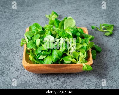 Bol en bois avec feuilles de salade de maïs, laitue d'agneau sur fond de pierre grise, vue latérale. Banque D'Images