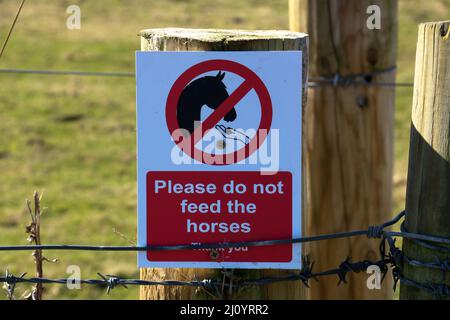 Veuillez ne pas alimenter l'affiche de chevaux clouée à un poteau de clôture de paddock Banque D'Images