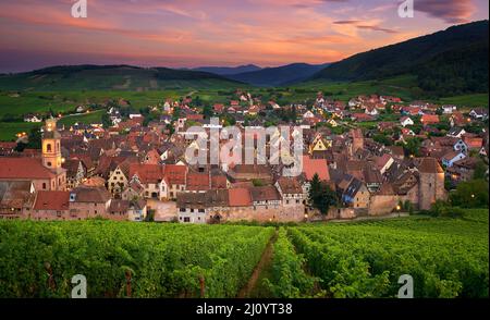 Vue sur Riquewihr depuis le sommet de la colline avec un vignoble au premier plan Banque D'Images