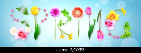 Fleurs et herbes avec le mot ressort. Composition florale créative. Banque D'Images