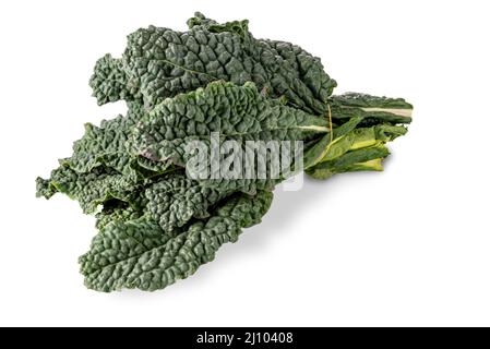 Bouquet de kale noir italien ou kale toscan ou lacinato ou kale de dinosaure isolé sur blanc; chemin d'écrêtage Banque D'Images