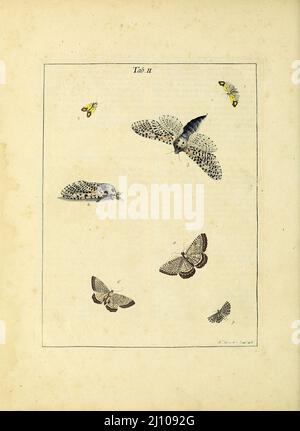 Papillons et papillons de nuit du livre une exposition d'insectes anglais : y compris les différentes classes de Neuroptera, Hyménoptères, et Diptera, ou abeilles, mouches, & Libellulae : exposition sur 51 plaques de cuivre près de 500 figures, dessinées avec précision et très finies en couleurs, de nature : l'ensemble décrit minutieusement, arrangé et nommé, selon le système Linnean, avec des remarques : les figures d'un grand nombre de papillons non compris dans la collection Aurelian : Anciennement publié par le même auteur et une plaque avec une explication des couleurs, sont également donnés dans l'œuvre de Moses Harris, 1730 - 1788, auteur Banque D'Images