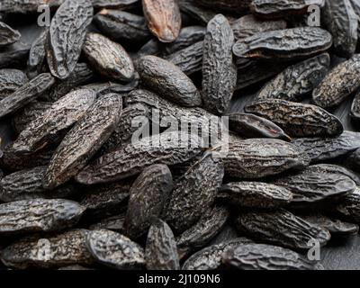 Tonka haricots entiers classiques Banque D'Images