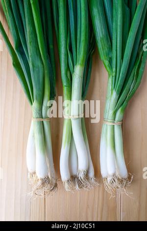 Oignons de printemps aussi connu que la salade, les Oignons ou échalotes oignons verts sur fond de bois Banque D'Images