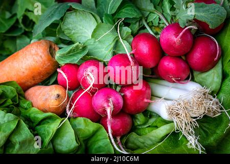 Concept alimentaire végétarien. Composition de légumes frais. Divers légumes sur une table en bois. Légumes frais disposés à bord. Nourriture végétalienne saine Banque D'Images