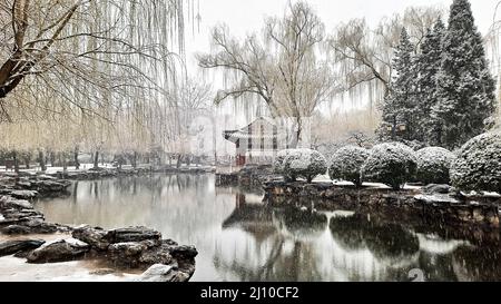 Pavillon chinois au bord du lac et arbres dans le parc Ritan le jour de neige, Beijing, Chine Banque D'Images