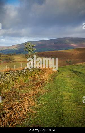 Collines ondulantes du parc national de Brecon Beacons, près d'Abergavenny. Banque D'Images