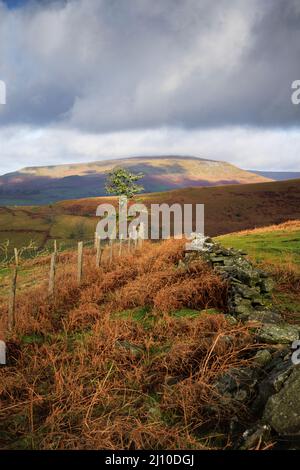 Collines ondulantes du parc national de Brecon Beacons, près d'Abergavenny. Banque D'Images