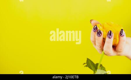 Main de femme adulte avec fleur jaune. Crop personne méconnaissable avec manucure tenant gerbera sur fond jaune Banque D'Images