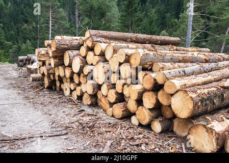 Pile de bois sciés le long d'une route forestière dans les montagnes. Industrie du bois. Banque D'Images