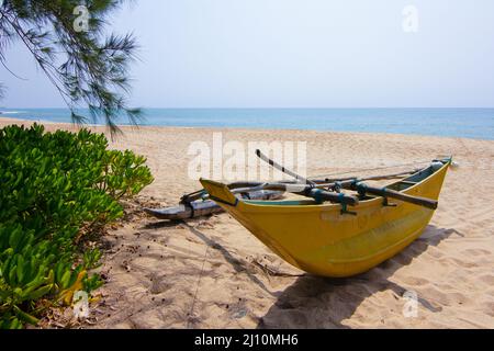 Bateaux de pêche et plage tropicale intacte au Sri Lanka Banque D'Images