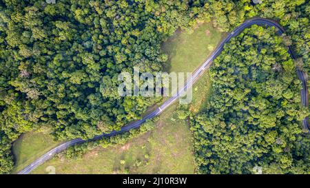 Bangkok. 21st mars 2022. La photo aérienne prise le 21 mars 2022 montre des forêts dans le parc national de Khao Yai, en Thaïlande. Le parc national de Khao Yai est le premier parc national de Thaïlande, avec une superficie totale d'environ 2 168 kilomètres carrés. La Journée internationale annuelle des forêts est célébrée le 21 mars. Crédit: Wang Teng/Xinhua/Alay Live News Banque D'Images