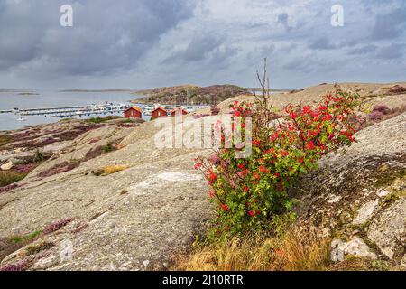 Paysage près de Sollid sur l'île Orust en Suède. Banque D'Images