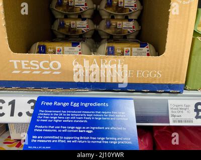 Leeds, Royaume-Uni. 21st mars 2022. Le supermarché Tesco affiche des signange affirmant que leurs poules « peuvent se déplacer librement » bien qu'elles soient conservées dans des granges. Les supermarchés informent désormais les clients que les poules de liberté sont conservées à l'intérieur des granges en raison des directives du gouvernement britannique concernant la grippe aviaire. Credit: Bradley Taylor / Alamy Live News Banque D'Images