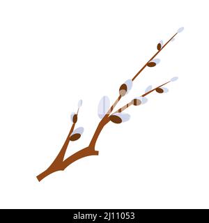 Branche de Willow - moderne conception plate unique objet isolé Illustration de Vecteur
