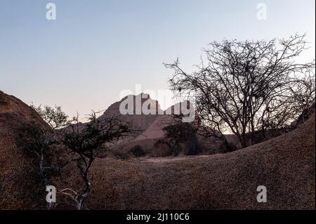 Rochers et arbres dans le désert namibien près de Spitzkoppe. Banque D'Images