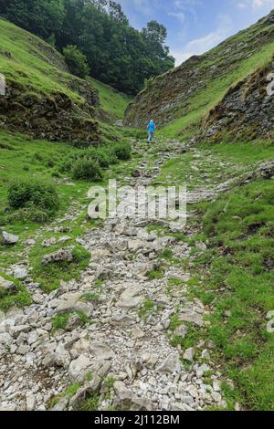 Cave Dale (ou Cavedale), une vallée calcaire sèche dans le Derbyshire Peak District, Castleton, Derbyshire, Angleterre, Royaume-Uni Banque D'Images