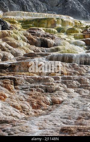 Mammoth Hot Springs dans le Parc National de Yellowstone, Wyoming, USA. Banque D'Images