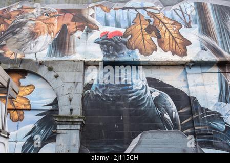 Une collection d'animaux sauvages surplombant le parking d'Ingram Street. Commandé par le Conseil municipal de Glasgow et peint par l'artiste australien 'tasse'. Banque D'Images