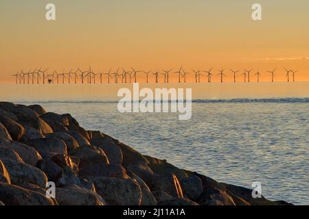 Éoliennes offshore au coucher du soleil sur la mer baltique près du pont öresund en suède Banque D'Images