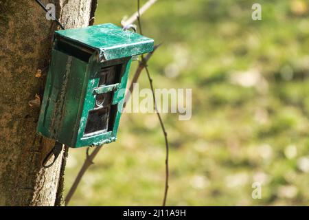 Appareil photo de chasse, appareil photo vert fixé à un arbre, utilisé par les chasseurs pour espionner les animaux sauvages, capturant la faune comme les cerfs lorsqu'ils marchent. Camouflage Nigh Banque D'Images