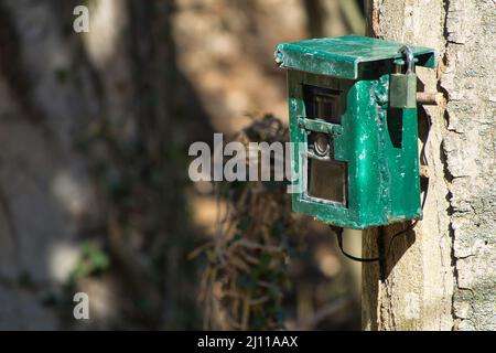 Appareil photo de chasse, appareil photo vert fixé à un arbre, utilisé par les chasseurs pour espionner les animaux sauvages, capturant la faune comme les cerfs lorsqu'ils marchent. Camouflage Nigh Banque D'Images