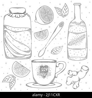 Ensemble de thé bio Kombucha maison isolé sur fond blanc. Bocal, tasse, bouteille de kombucha avec citron et gingembre, dessin vectoriel Illustration de Vecteur