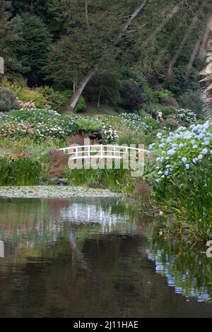 Jardins de Trebah Banque D'Images