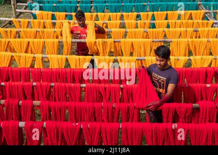 Les travailleurs pendent des fils fraîchement teints sur une structure en bois pendant qu'ils sont séchés au soleil à Narayanganj, au Bangladesh. Des centaines de fils colorés créent une palette de couleurs tandis que les travailleurs suspendent les feuilles teintes à sécher. Les fils prennent une journée entière à sécher et s'étirent sur des centaines de mètres. Une fois séchés, ils sont vendus aux marchés de gros. Chaque ligne de threads a une valeur de seulement 2 £. Les travailleurs passent 12 heures dans les champs au cours de ce processus, gagnant £5 par jour. Bangladesh. Banque D'Images