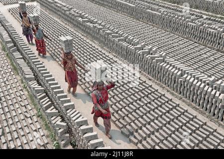 Les travailleurs prennent des piles de briques sur leur tête dans un champ de briques à Narayanganj, au Bangladesh. Le Bangladesh, avec ses 160 millions d'habitants, est un pays en demande constante de briques comme matériau primaire pour la construction de bâtiments à l'ère de l'urbanisation. Il y a environ 5000 fours en briques à fonctionnement privé au Bangladesh, dont 1000 autour de la capitale, Dhaka. Les fours à briques, indirectement responsables du changement climatique, émettent des fumées toxiques contenant de grandes quantités de monoxyde de carbone, d'oxyde d'azote et d'oxydes de soufre qui sont extrêmement nocives pour les yeux, les poumons et la gorge Banque D'Images