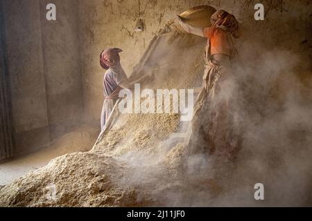 Les travailleuses sont en train de traiter du blé dans une usine de Narayanganj, au Bangladesh. Comme le blé est la deuxième culture alimentaire de base après le riz au Bangladesh, la demande est en augmentation. La production de blé au Bangladesh passe par quelques étapes de base. Au stade de la préproduction, les semences sont sélectionnées par les agriculteurs en fonction de leur rendement et de leurs variétés, puis de la récolte menant au transport et au stockage. Ensuite, le blé importé est apporté et conservé dans les entrepôts. Après cela, le blé est traité dans des moulins de différentes manières dont l'un est de filtrer la saleté à l'aide d'un grand bois Banque D'Images